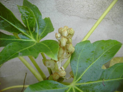 PICT8751.JPG