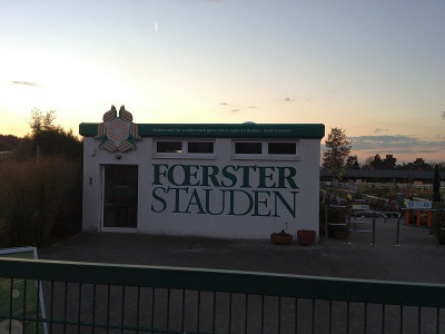 foerster_pflanzenparkplatz_zg.jpg