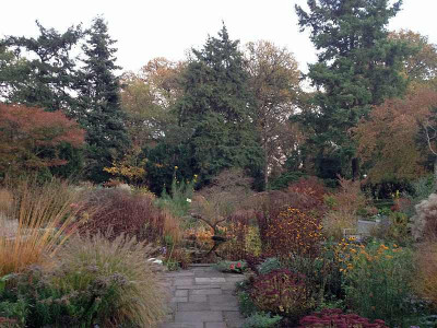 foerster_garten2_zg.jpg