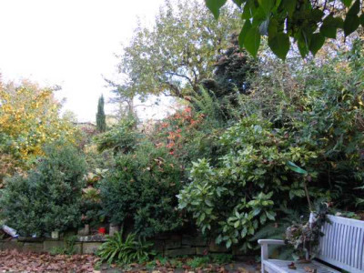 Herbst_13_Ende_Okt_036.JPG