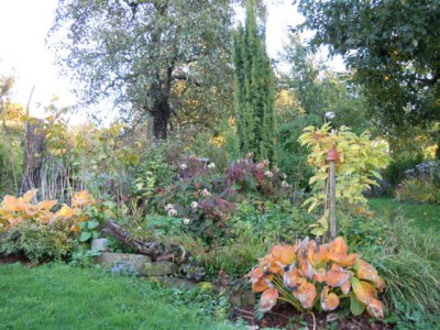 Herbst_13_Ende_Okt_011.JPG