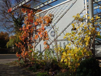 Herbst_13_Ende_Okt_032.JPG