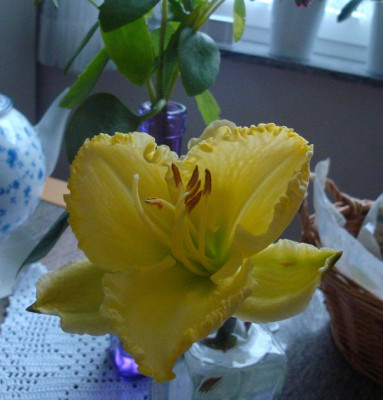 k-DSC00837.JPG