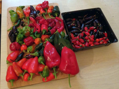 balkonchili_2013_zg.jpg