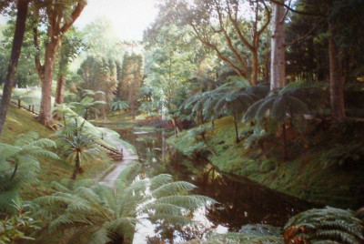 Parque_Terra_Nostra.jpg