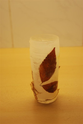 C9374_Large.JPG