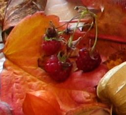 Himbeeren-ax-fest.jpg