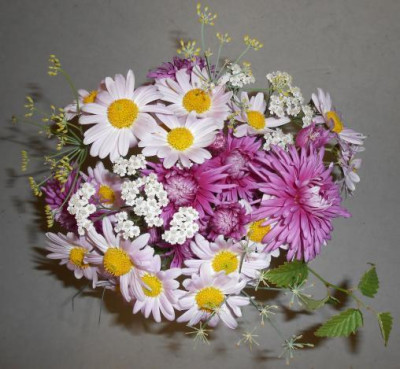 Blumenstrauss_11-11-2013.jpg