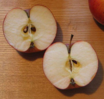 Apfel-unbekannt-ax3.jpg