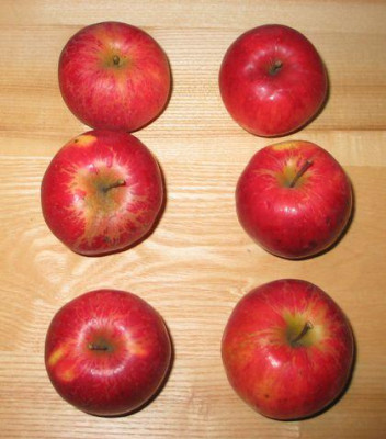 Apfel-unbekannt-ax1.jpg
