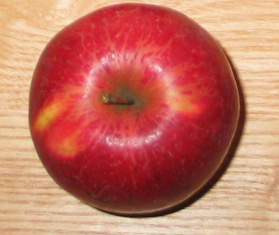 Apfel-unbekannt-ax4.jpg