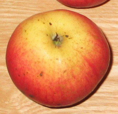 Apfel-unbekannt-ax5.jpg