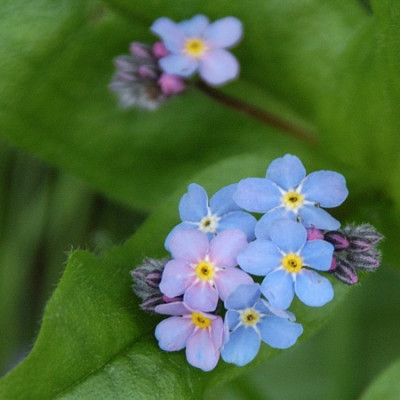 vergiss_4165_040409.jpg