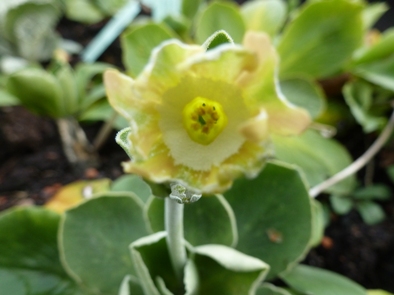 P1020441.JPG