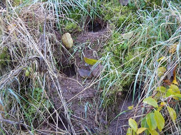Herbst_13_Ende_Okt_022_18.JPG