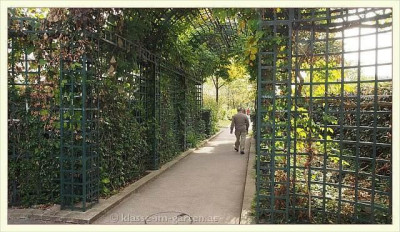 Paris_Bois_de_Vincenne_walkway_2013-09_pur.jpg