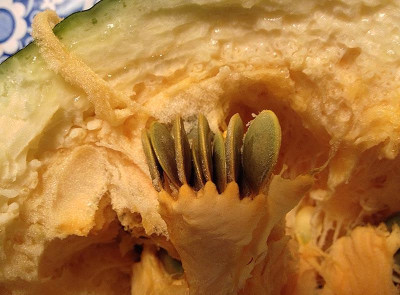 oelkuerbiskerne.jpg