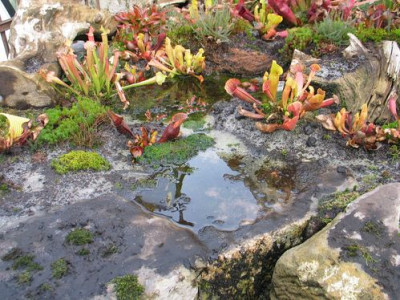 Biotop-herbst-ax0.jpg