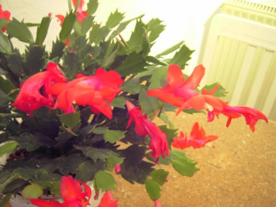 PICT8791.JPG