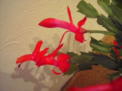 PICT8804-001.JPG