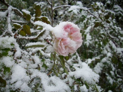 stanwell_schnee.jpg