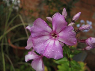 gesetzesauge-2013-10-31_037_5kk.jpg