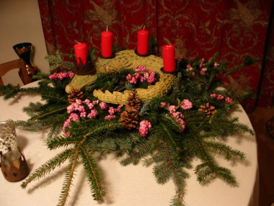 krokodil-in-pink.jpg