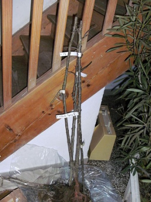 k-BILD2185___2.jpg