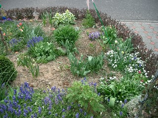Web1._Nettis_Vorgarten.jpg