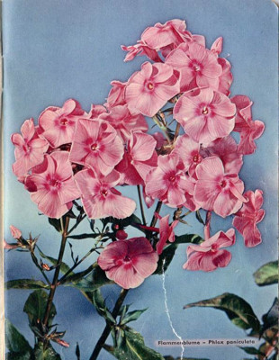 1959.jpg