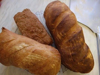 brot1512131.jpg