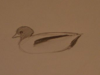 Ente_Axel.jpg
