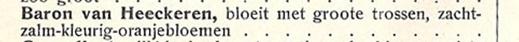 Ruys_1925.jpg