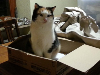 2013-11-26_18.41.30.jpg