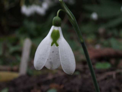 DSCF1340.JPG