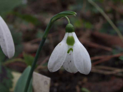 DSCF1341.JPG
