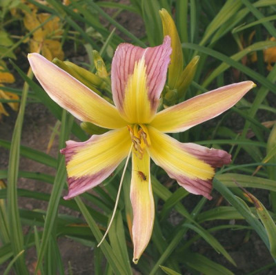 DSCN5213002.jpg