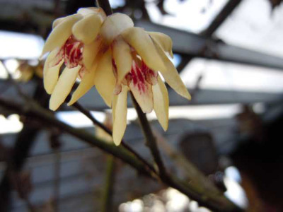 zeller_winterbilder_jan_2014_008.JPG
