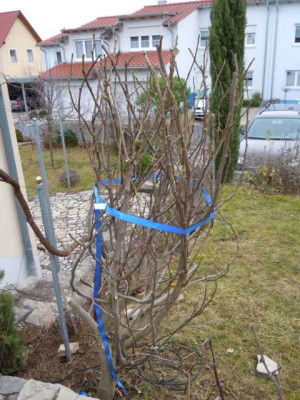 zeller_winterbilder_jan_2014_004.JPG