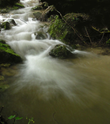 gradenbach1.jpg