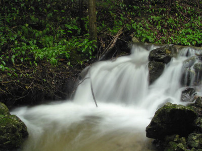 gradenbach2.jpg