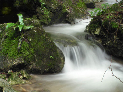gradenbach3.jpg