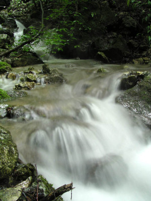 gradenbach4.jpg