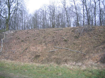 tabularasa1111.jpg