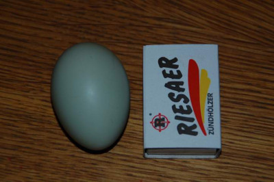 das_erste_5668.JPG