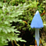 Avatar_macrantha2.jpg