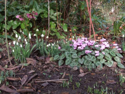 DSCF1356.JPG