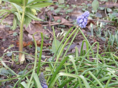 DSCF1358.JPG