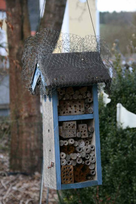 Insektenhotel0713a.jpg