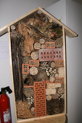 Insektenhotel0611a.jpg